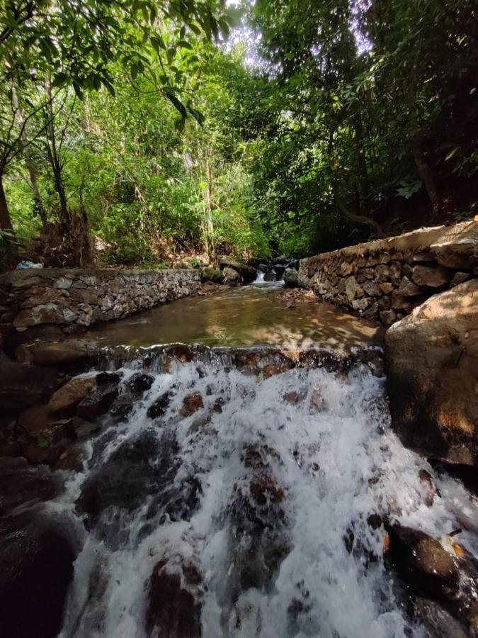 Forest And River Edge Resort Kannur Exteriör bild