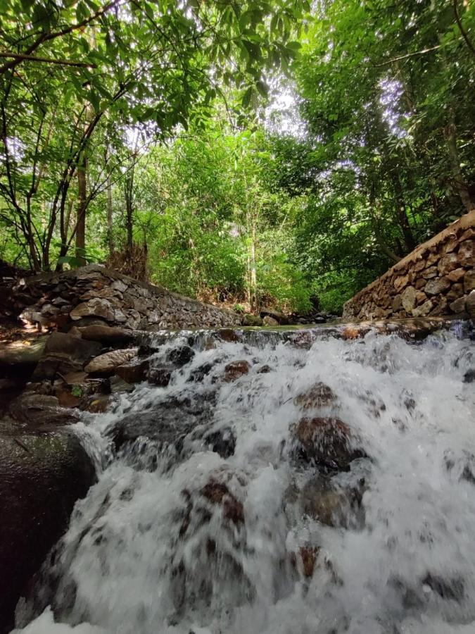 Forest And River Edge Resort Kannur Exteriör bild