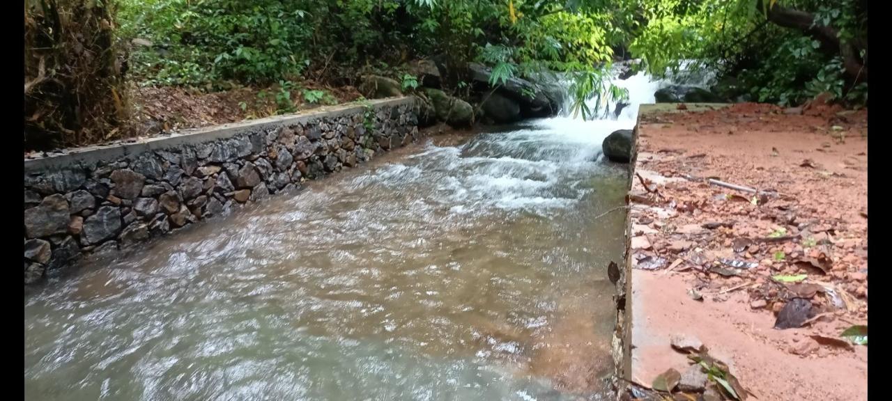 Forest And River Edge Resort Kannur Exteriör bild