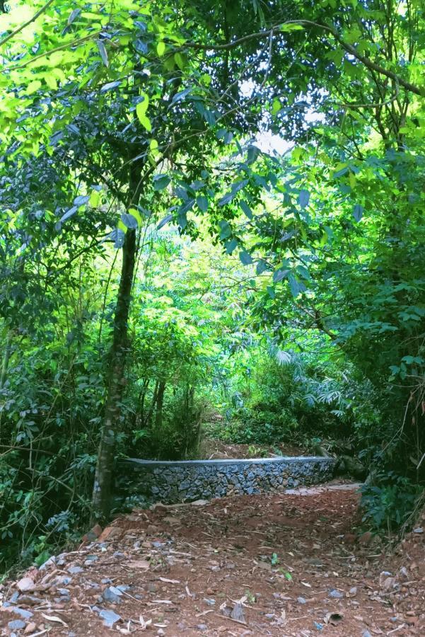 Forest And River Edge Resort Kannur Exteriör bild
