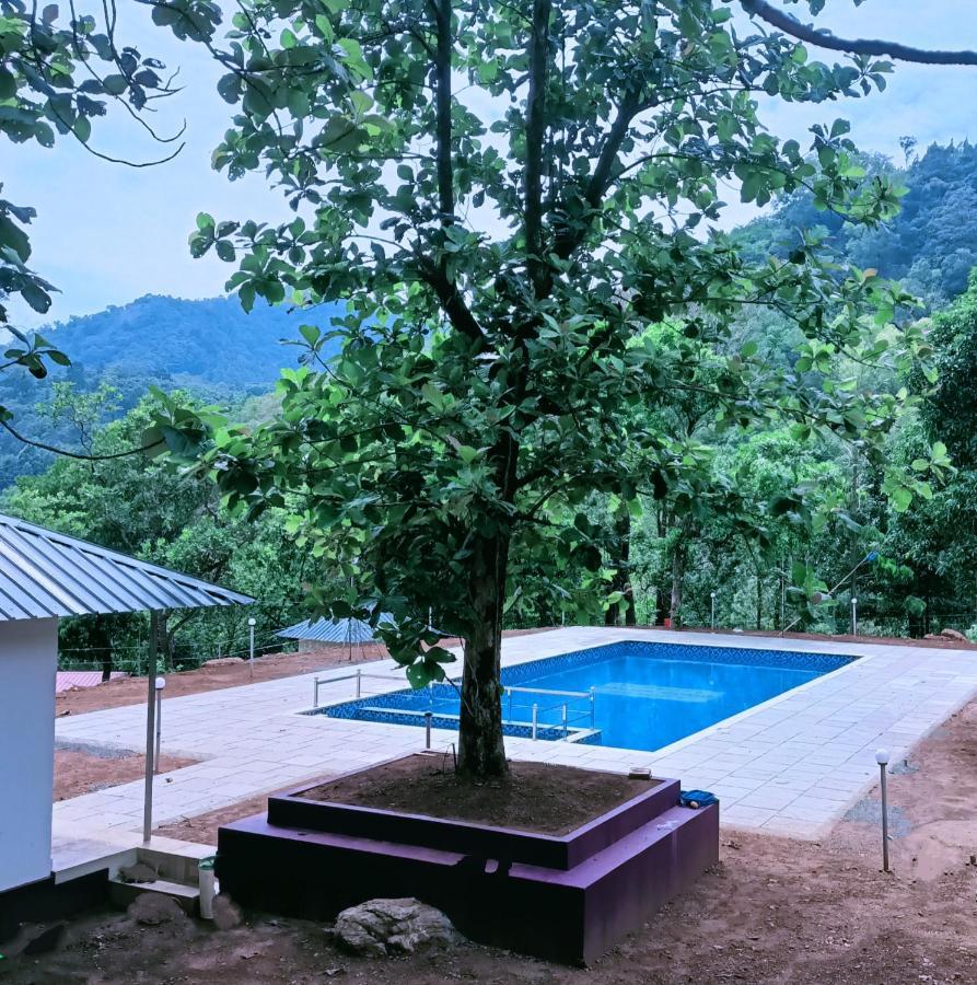 Forest And River Edge Resort Kannur Exteriör bild